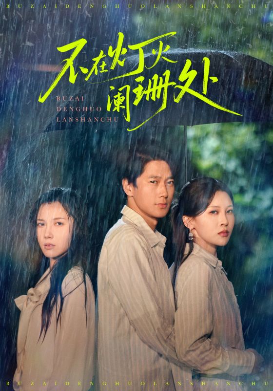 不在灯火阑珊处2025(全集)