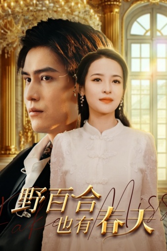 野百合也有春天 短剧版(全集)