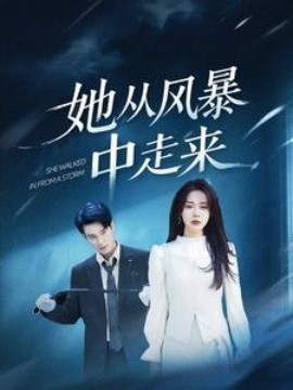 她从风暴中走来(全集)