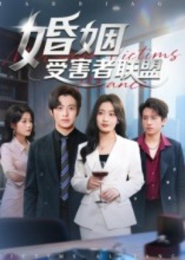 婚姻受害者联盟(全集)